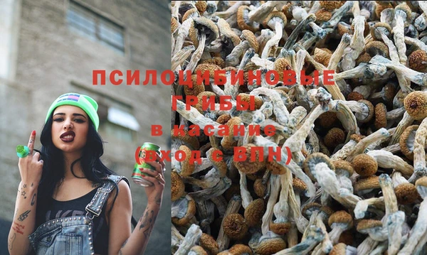 а пвп мука Семикаракорск