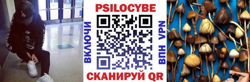 Псилоцибиновые грибы прущие грибы  Хотьково 